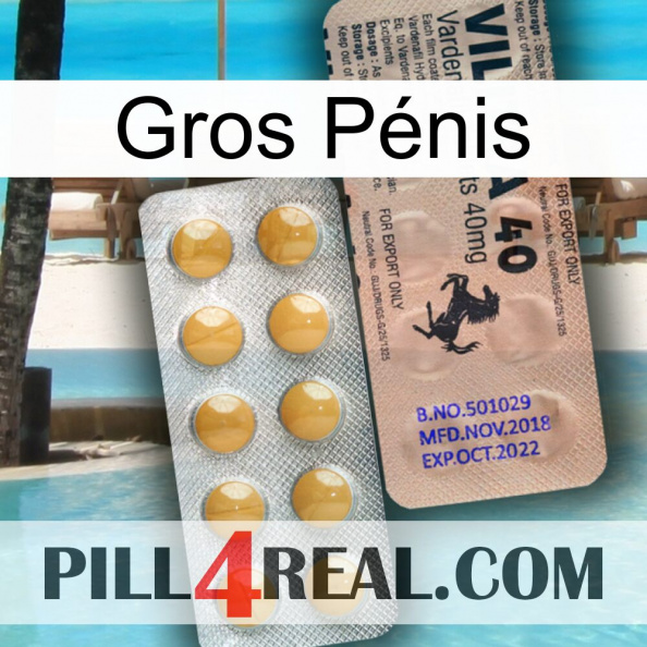 Gros Pénis 41